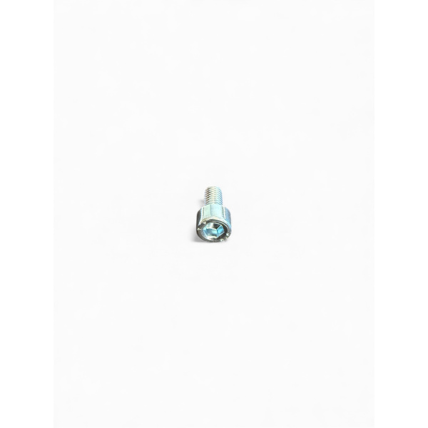 SCREW  M6X12