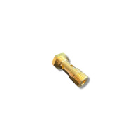 Nilfisk Hohlschraube - HOLLOW SCREW M7X36/51 G3/8 SW22 ZN