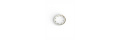 Nilfisk Federtellerscheibe - Spring Plate Washer
