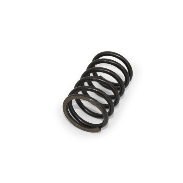 RETURN SPRING C3 4.3X41X61.5 ST