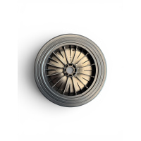 Nilfisk Rad Neptune/Poseidon ∅ 250mm x 75mm Schwarz...