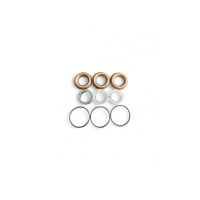 Nilfisk Original Dichtungssatz Kolben Ø18mm